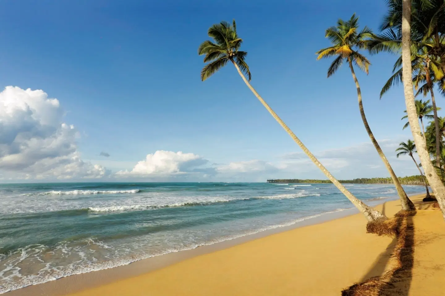 Viva V Samaná by Wyndham BEACH