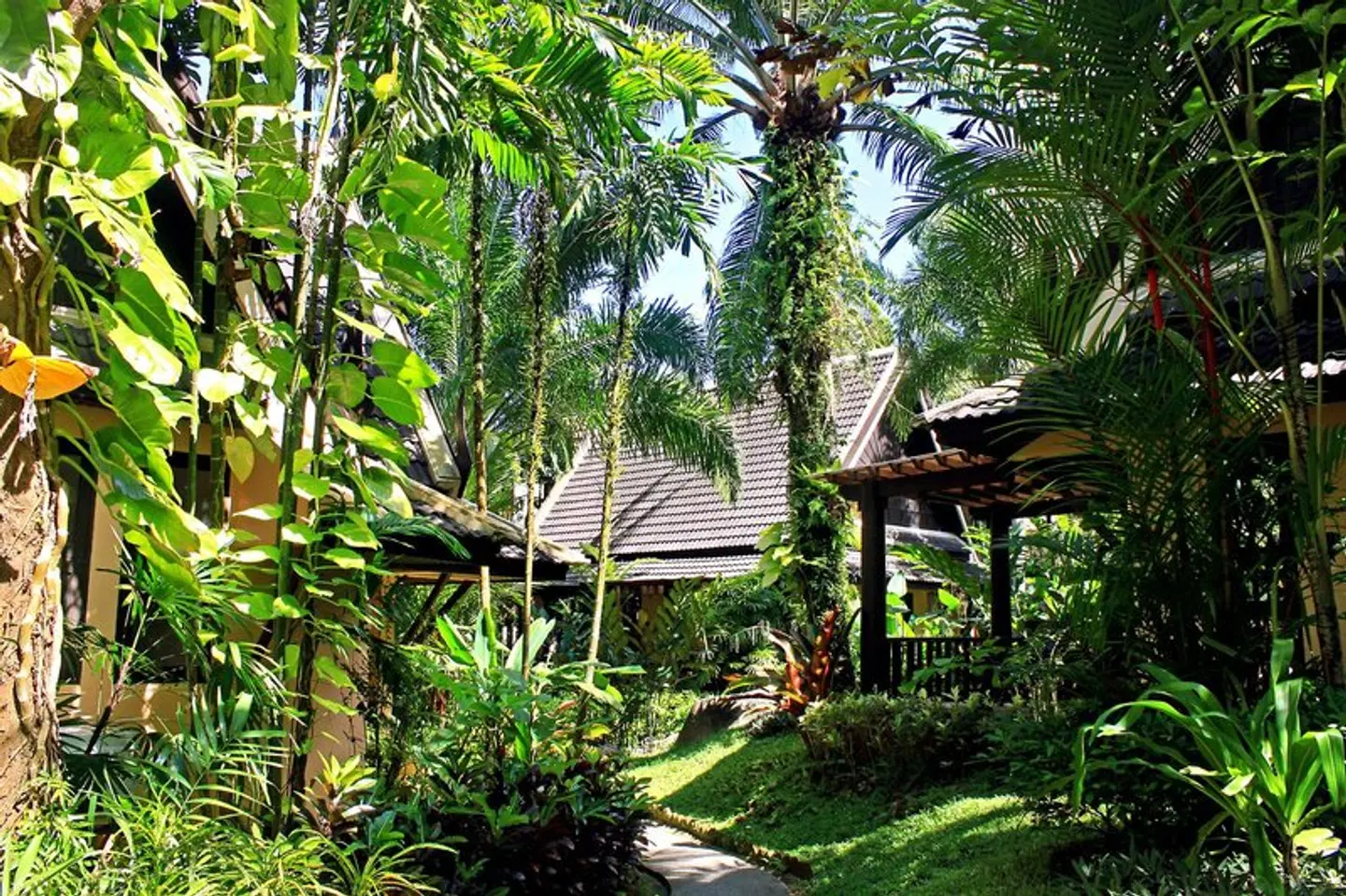 Khao Lak Palm Beach Resort GARDEN