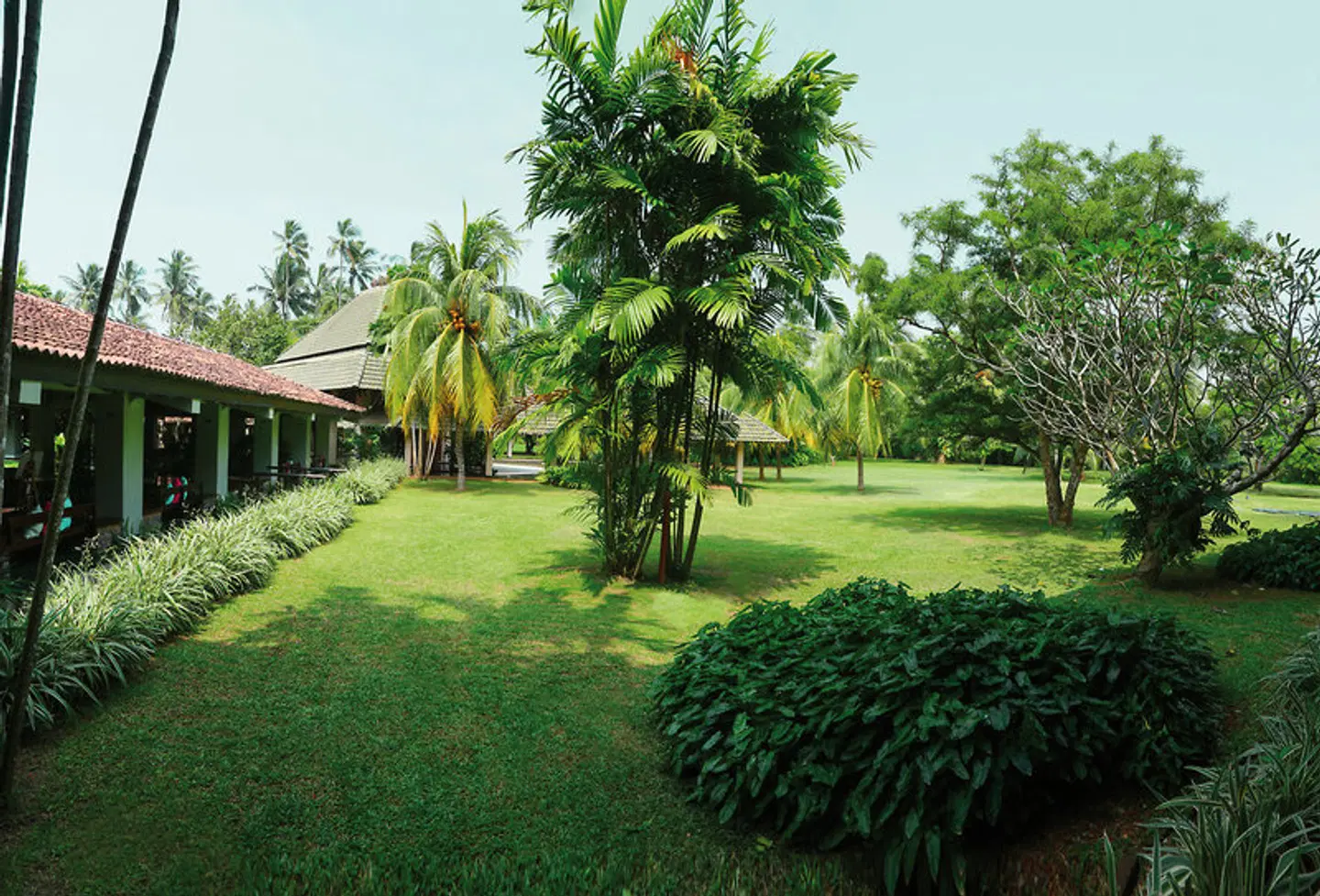 The Palms Hotel GARDEN
