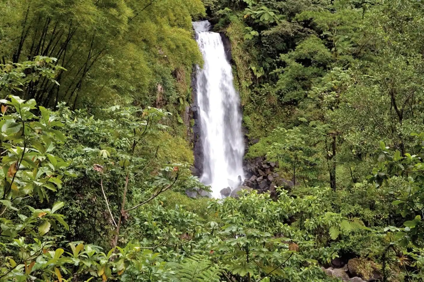 100% Dominica - Insel für Entdecker Landschaft