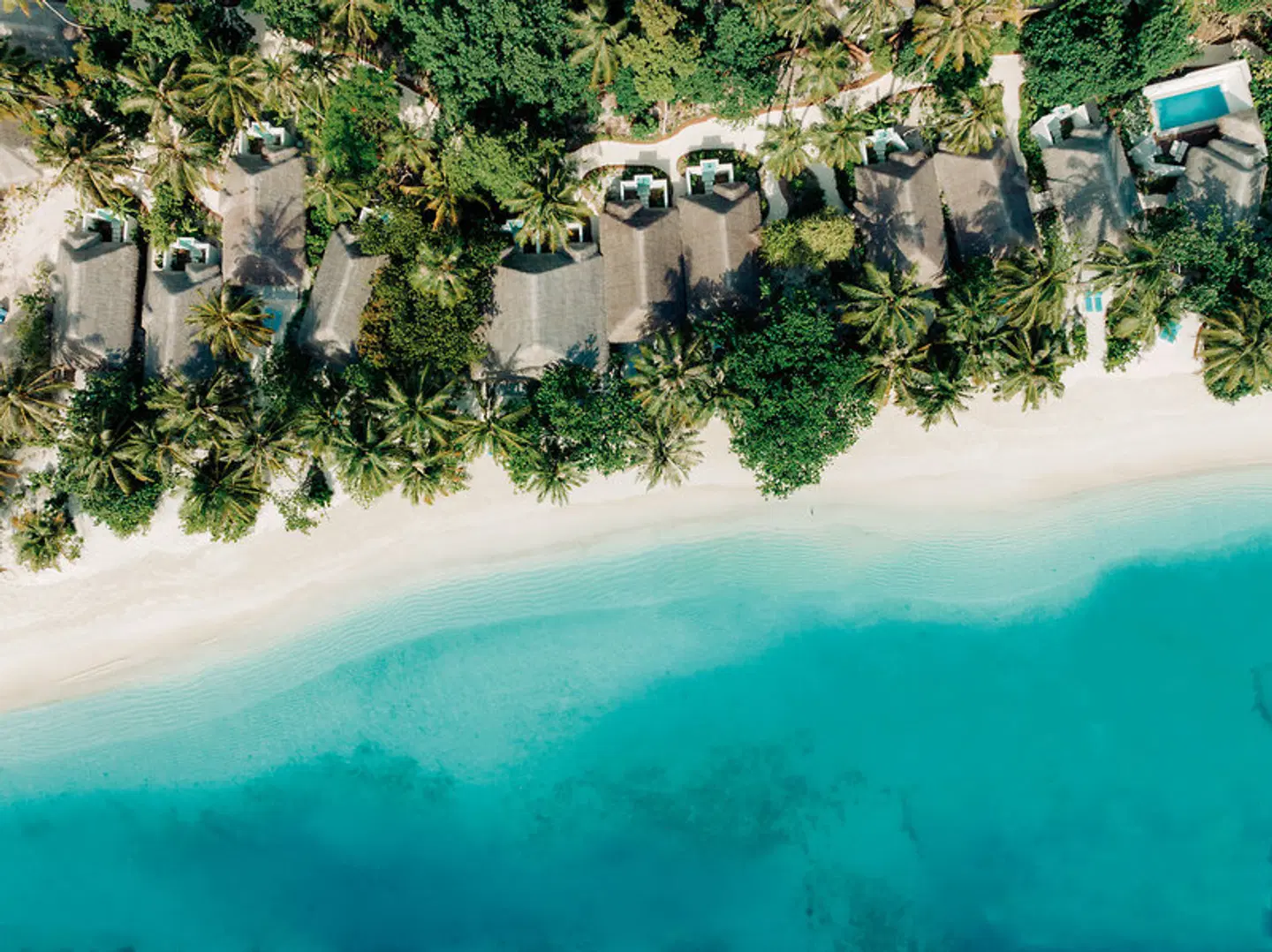 Nova Maldives LANDSCAPE