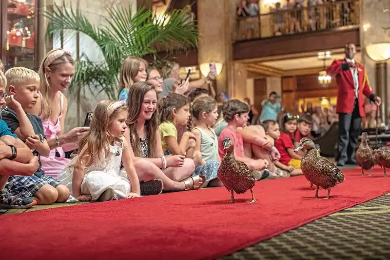 Peabody Memphis – Hotelfoto