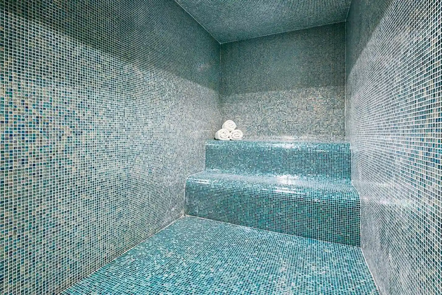 Holiday Inn Brooklyn Downtown Wellness