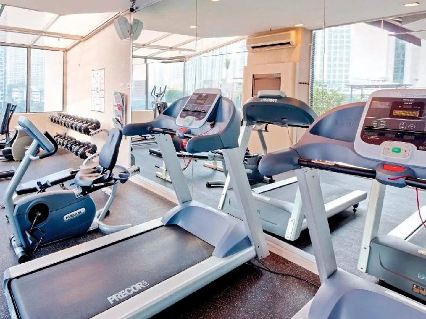 Four Points by Sheraton Singapore, Riverview SPORTS_AND_LEISURE