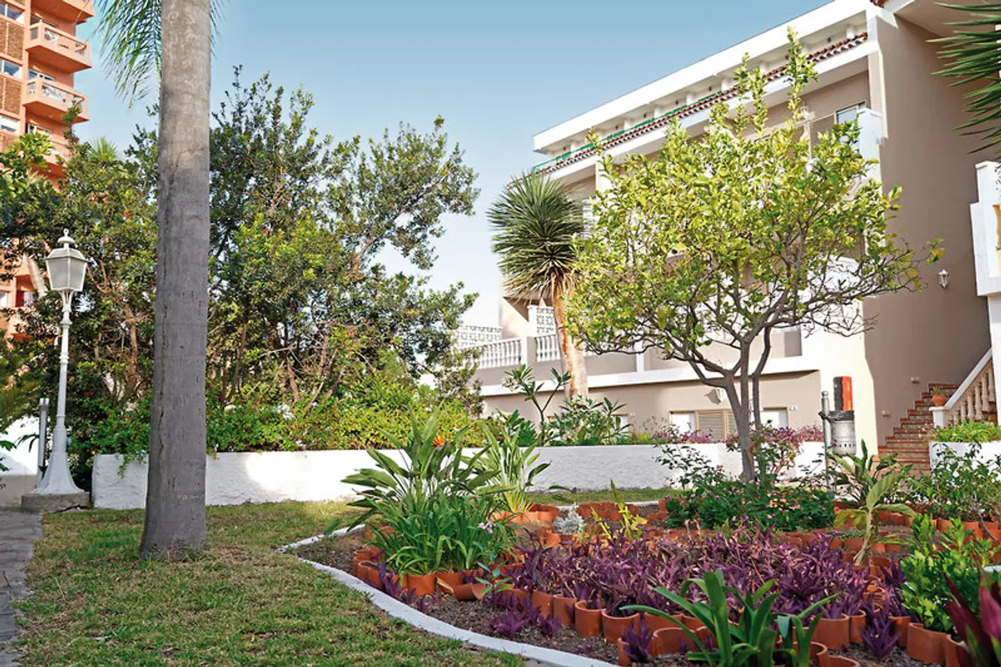 RF San Borondón EXTERIOR