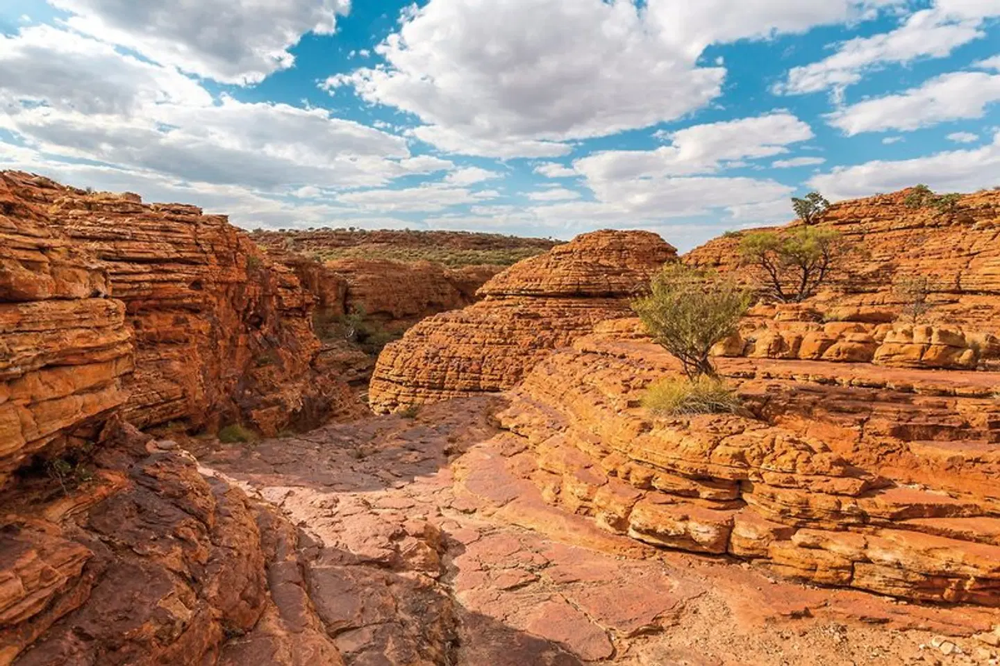 Vielfalt Australien & Ostküste (18 Tage, Melbourne-Brisbane) LANDSCAPE