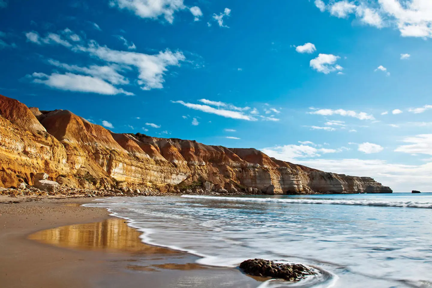 Sea Dragon Kangaroo Island & Fleurieu Peninsula LANDSCAPE