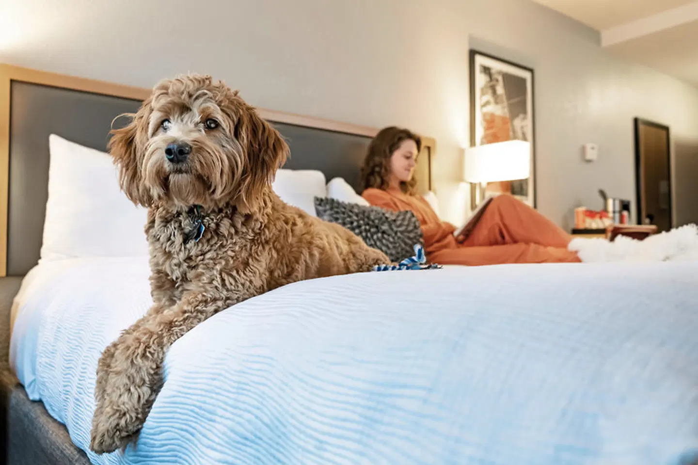 Hotel Saint Clair Tiere