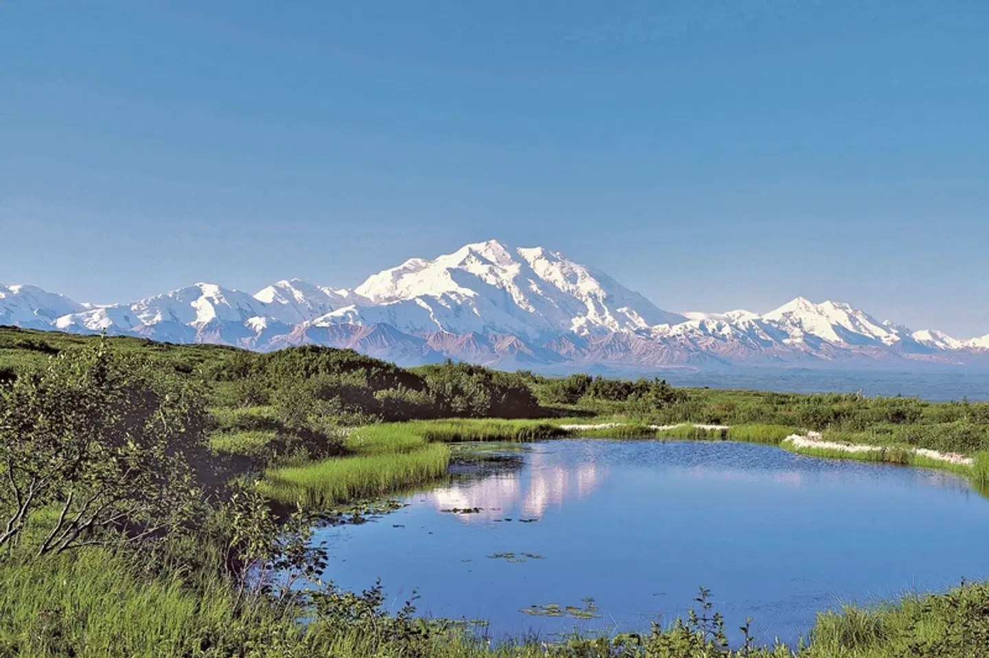 Denali Discovery Zugreise Landschaft
