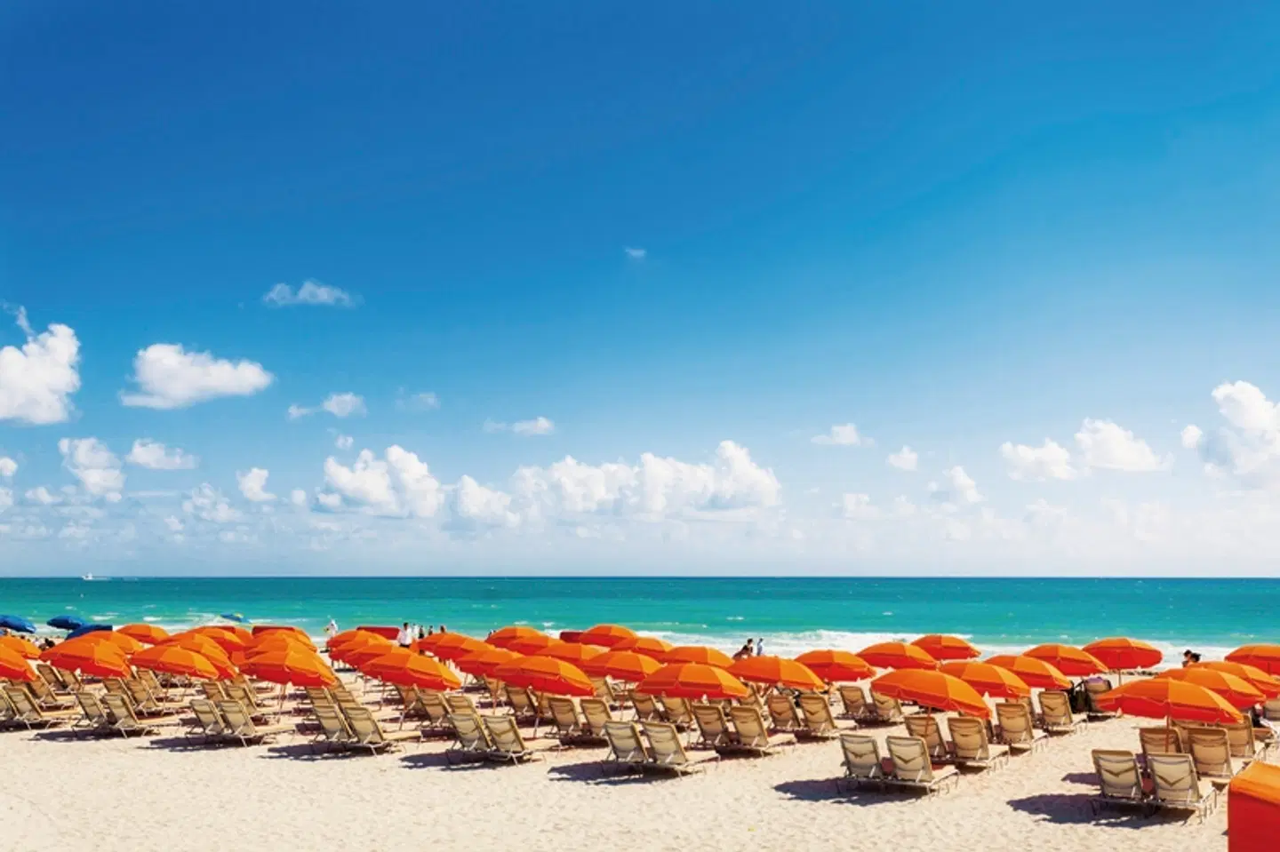 Royal Palm Miami Strand