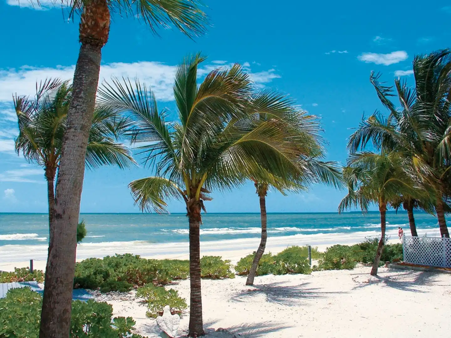 Florida Sunshine State & Beach (Superior-Variante, City View) Garten