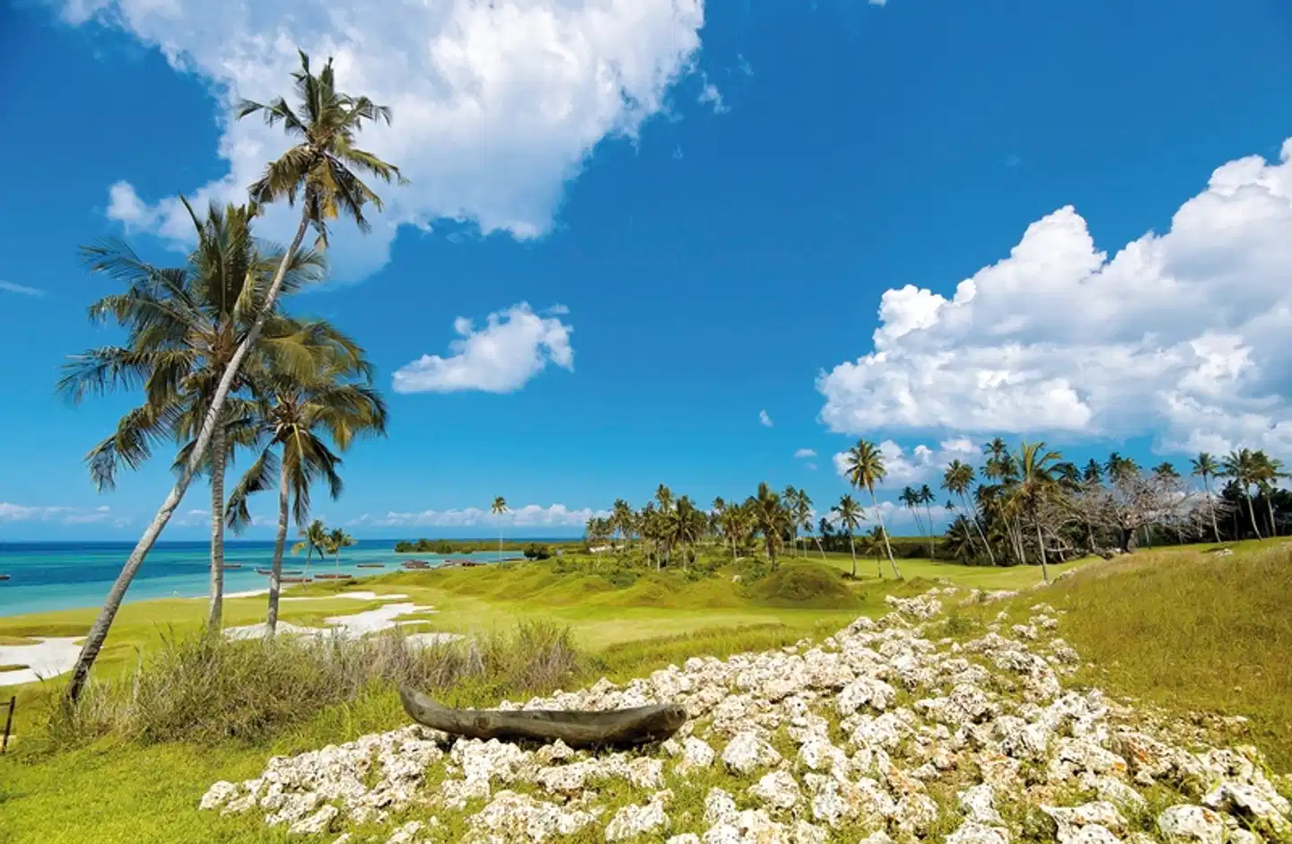 Sea Cliff Resort & Spa Garten