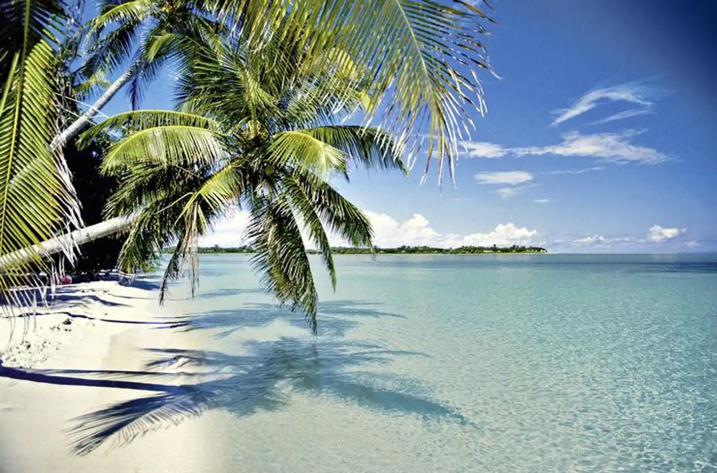 Best of Florida Strand