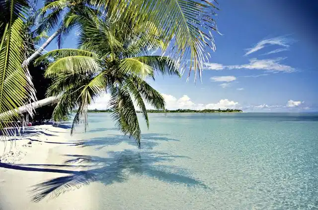 Best of Florida Strand