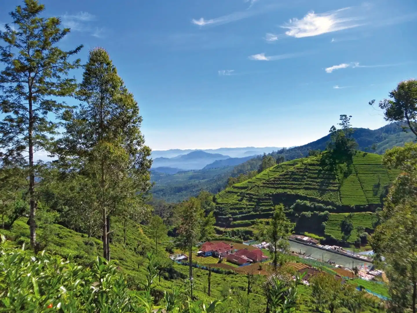 Tempel, Tee & Traditionen (Gruppenreise) Landschaft