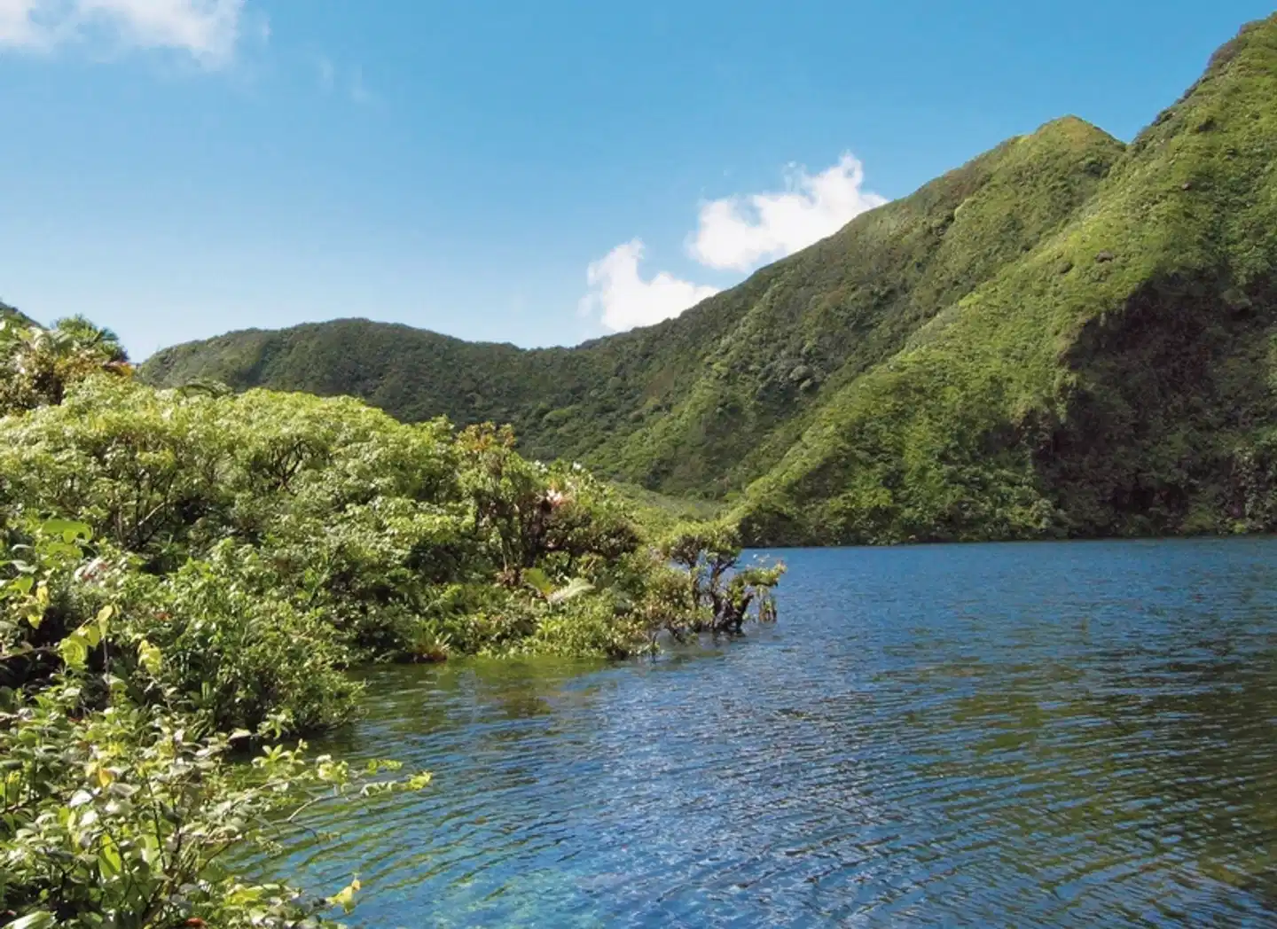 Naturerlebnis Dominica Landschaft