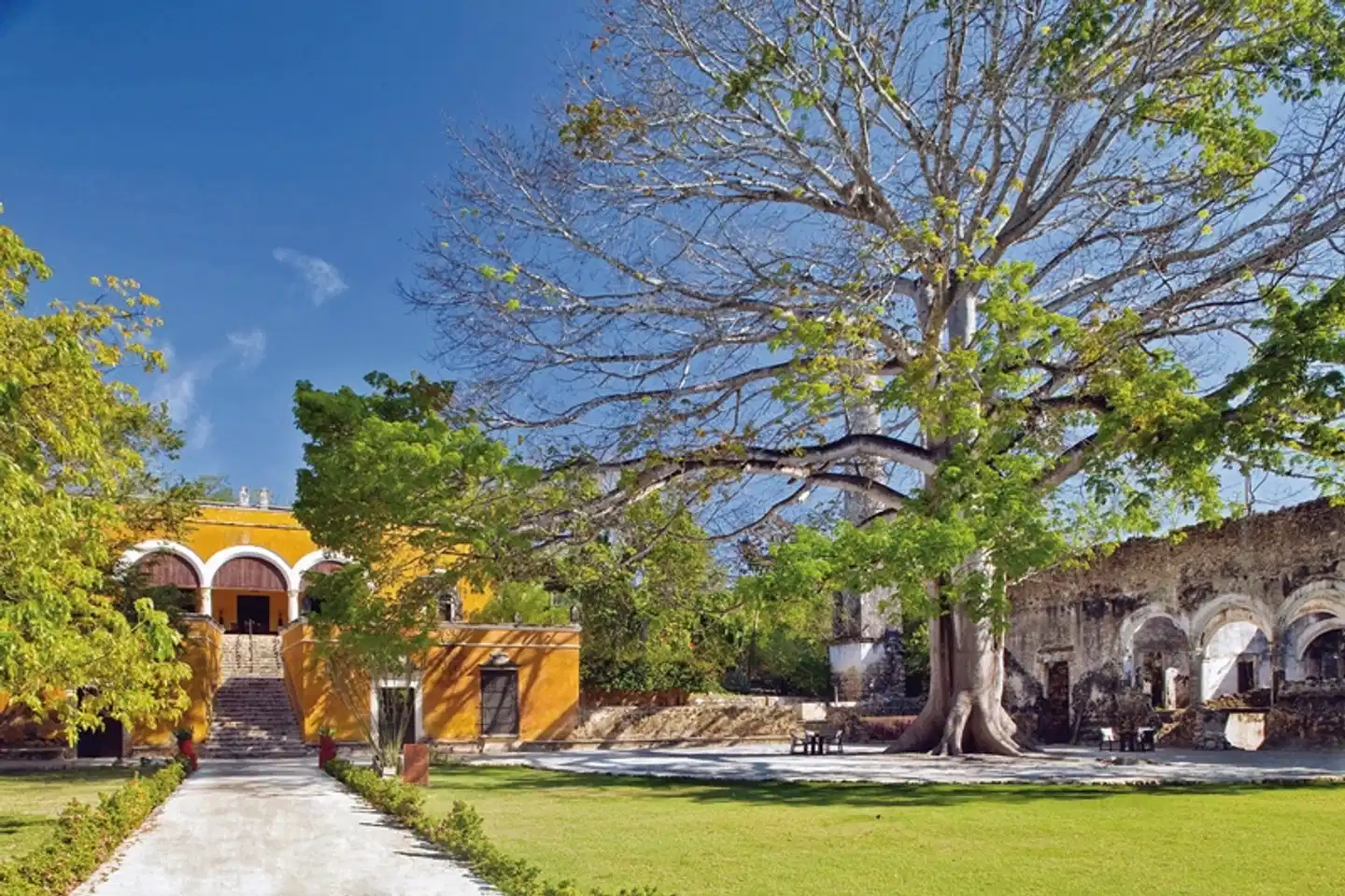 Hacienda Uayamon Garten