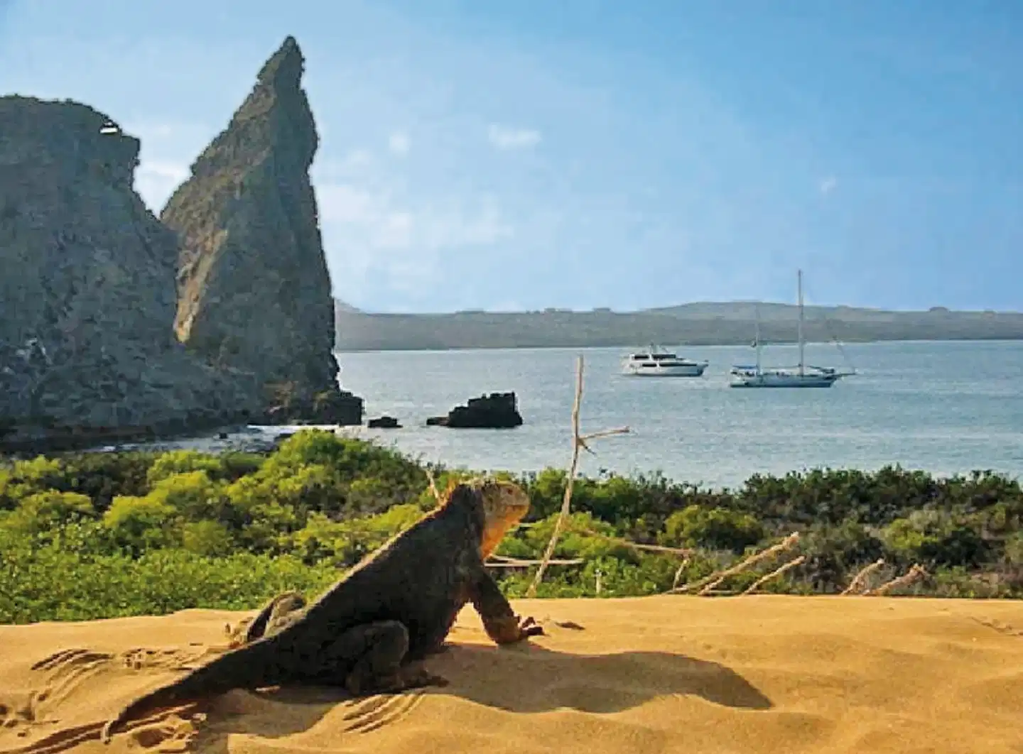 Galápagos Scalesia Lodge - 4 Nächte Tiere