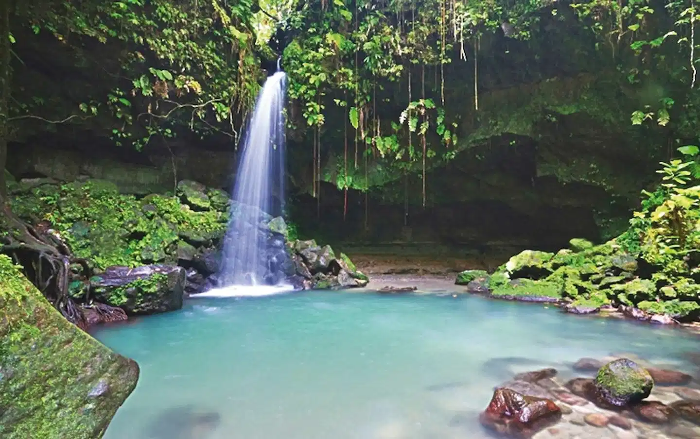 100% Dominica - Insel für Entdecker Landschaft