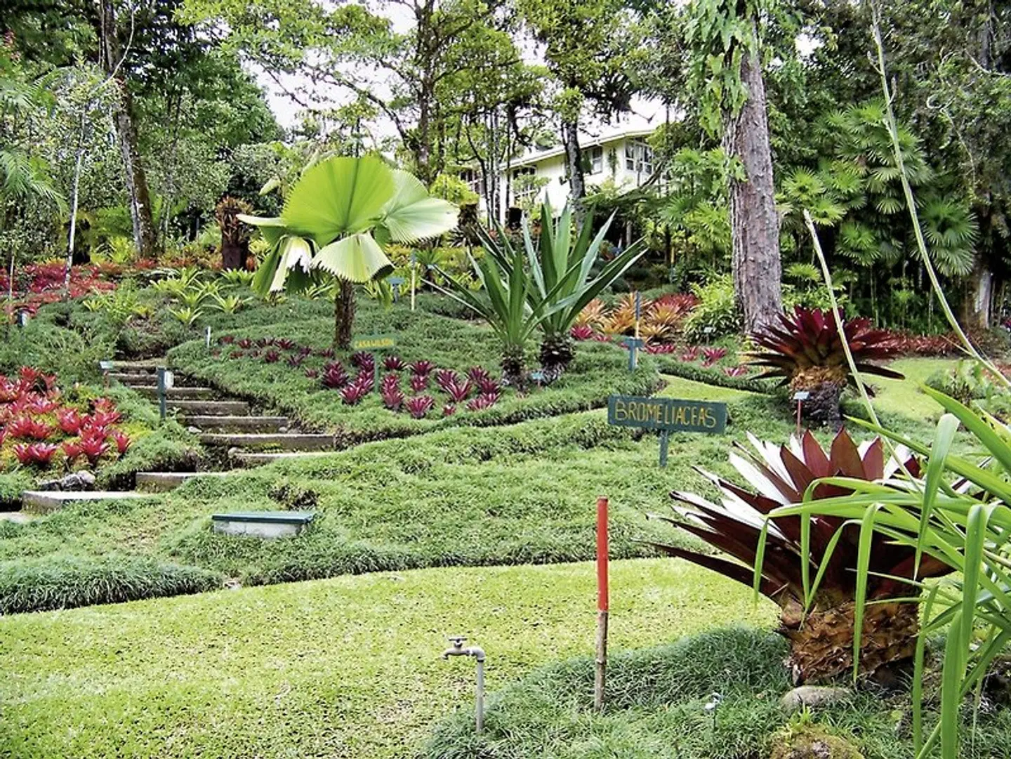 Pura Vida - Costa Rica hautnah mit Badeverlängerung Garten