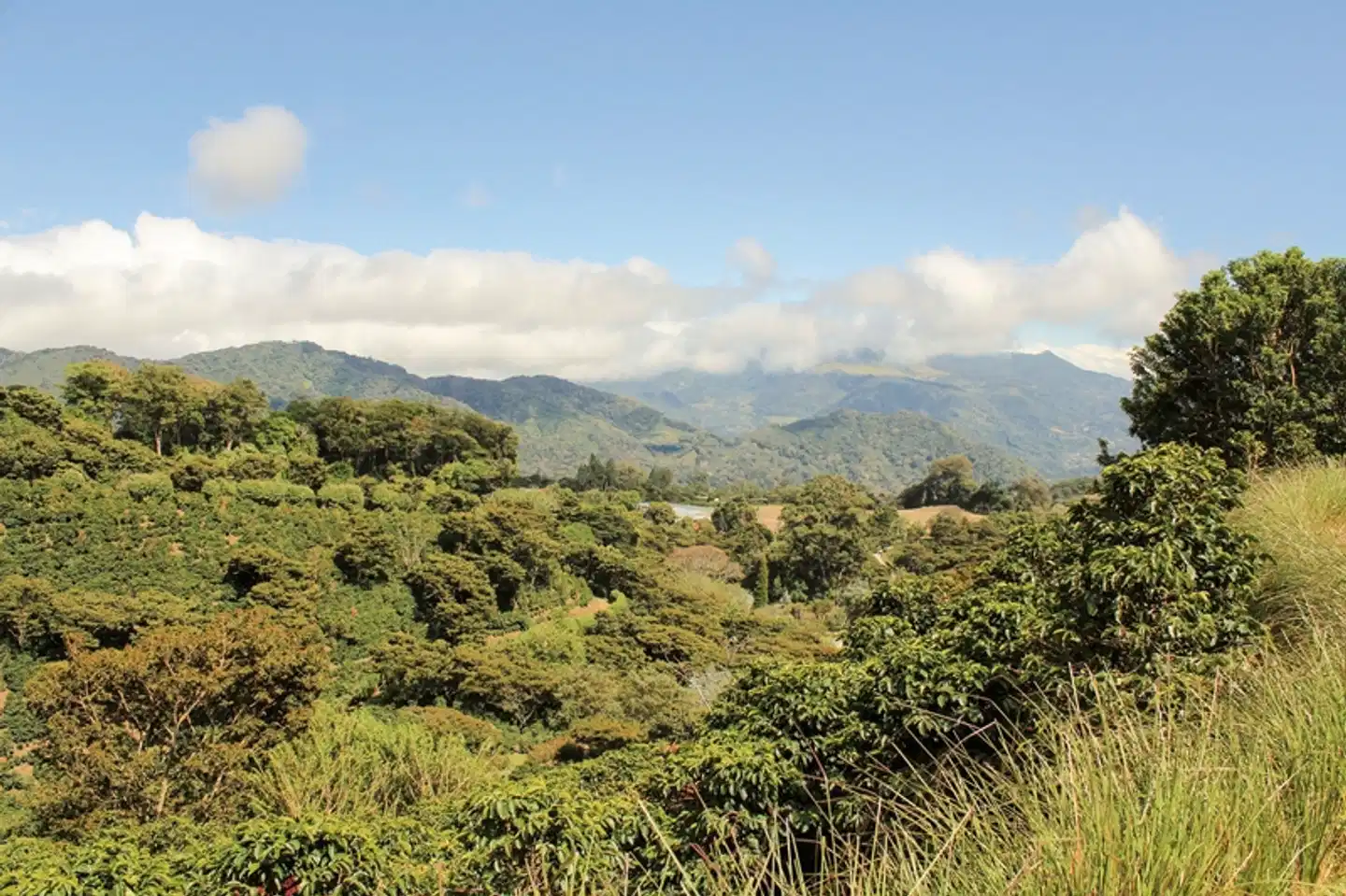 Best of Panama Landschaft