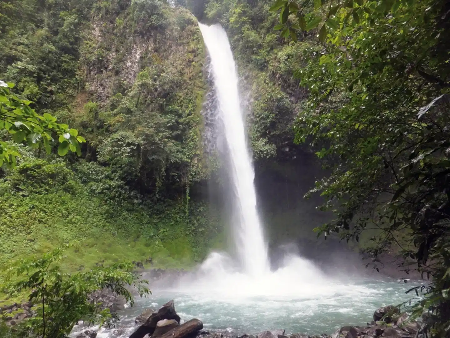 Karibik- und Dschungeltour Garten