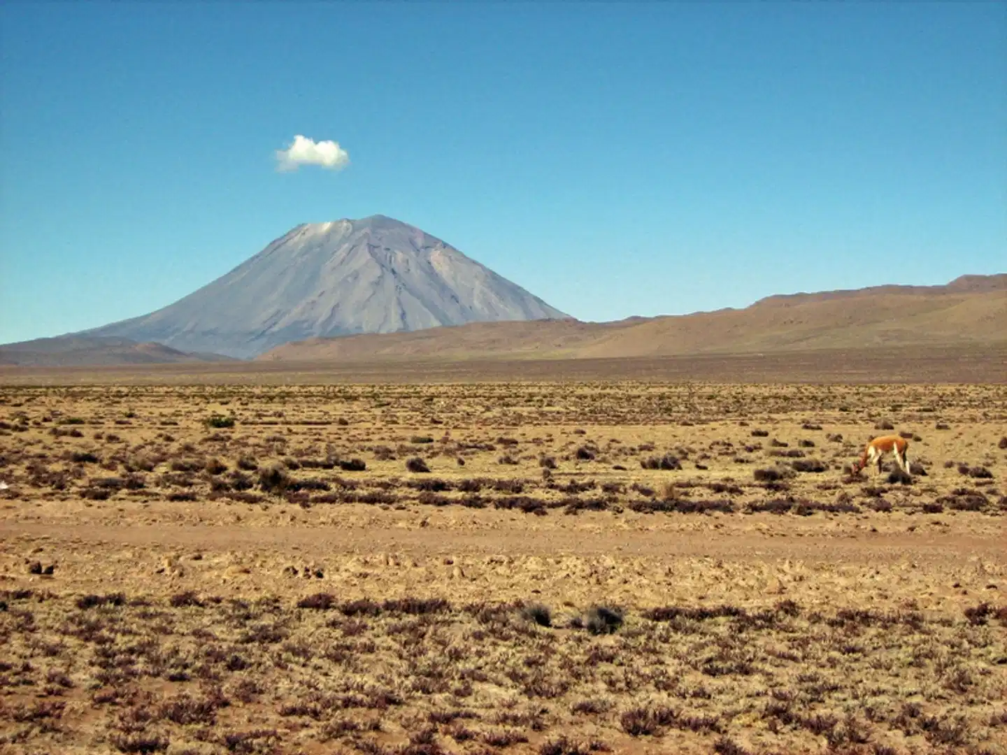 Vom Andenhochland an den Amazonas Landschaft