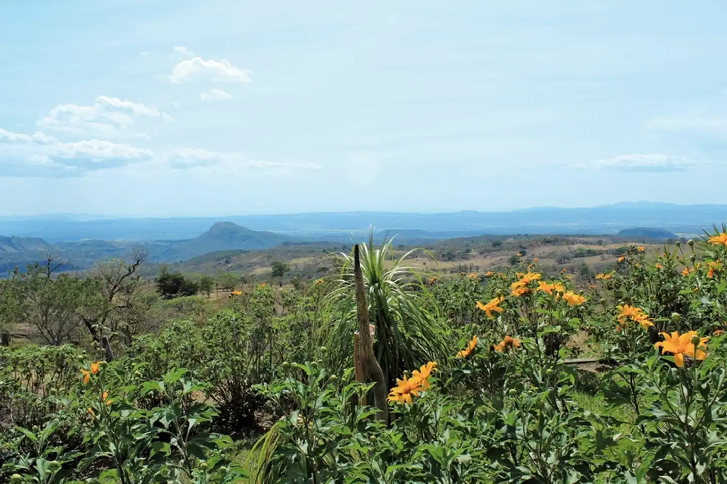 Nationalpark Rincón de le Vieja Landschaft