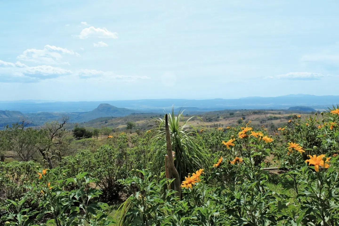 Nationalpark Rincón de le Vieja LANDSCAPE