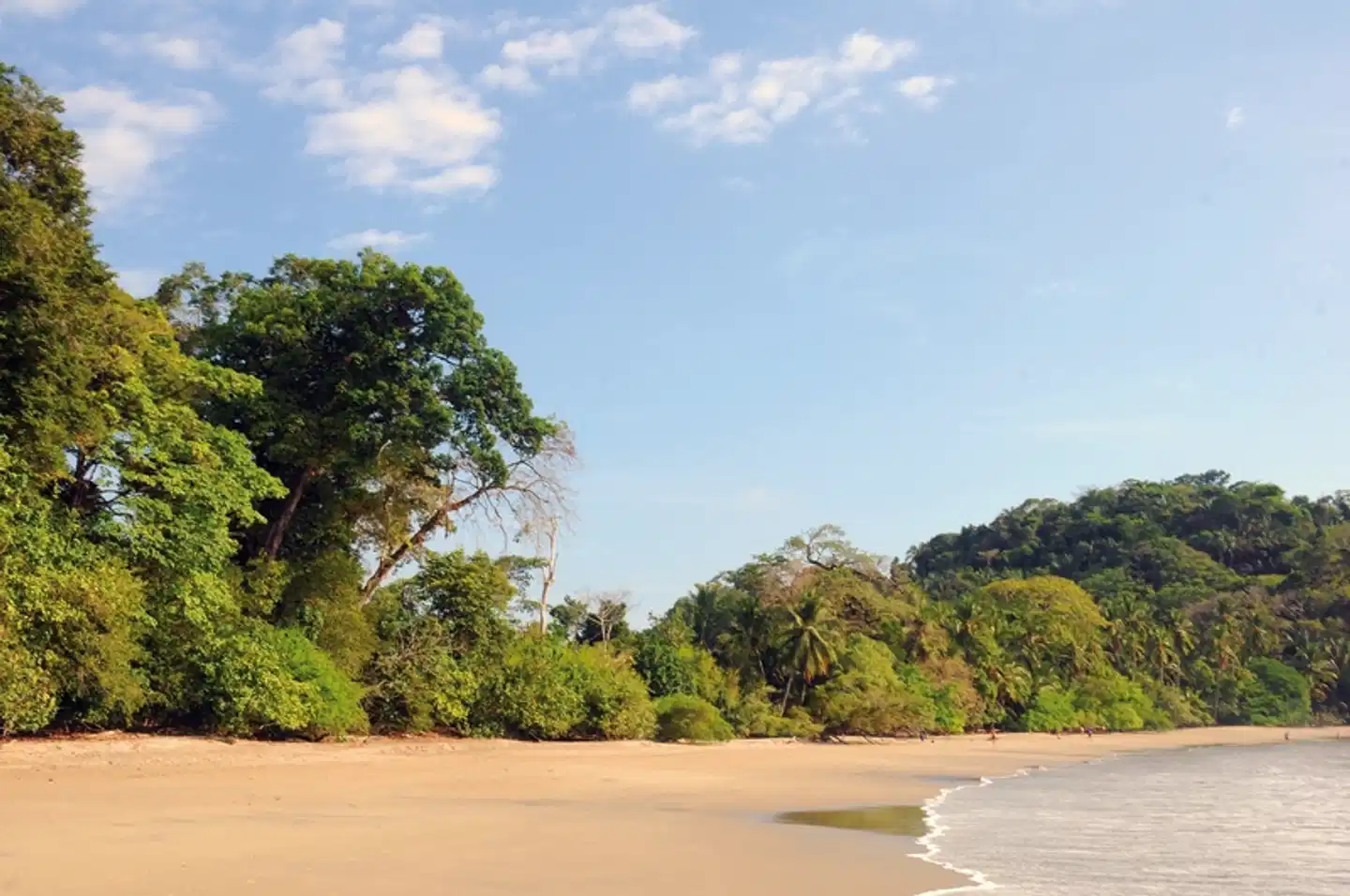 Höhepunkte Costa Ricas (14 Nächte) Landschaft