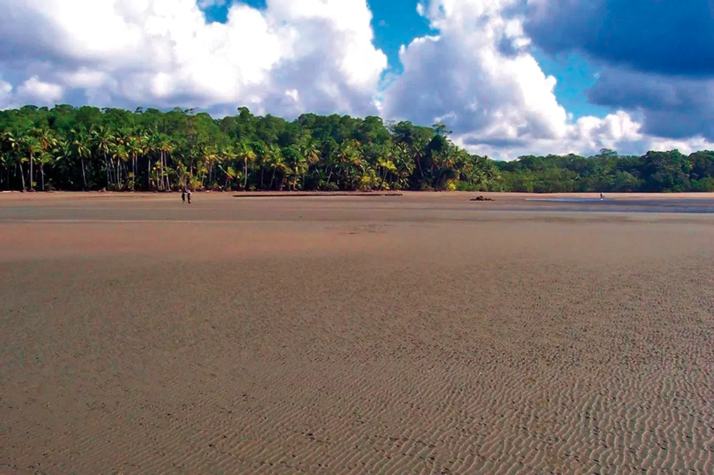 Nationalpark Corcovado LANDSCAPE