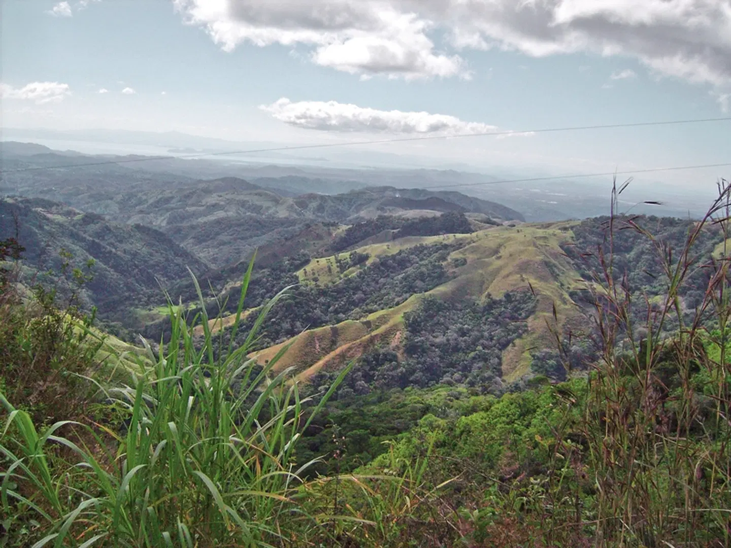 Nebelwald Monteverde LANDSCAPE