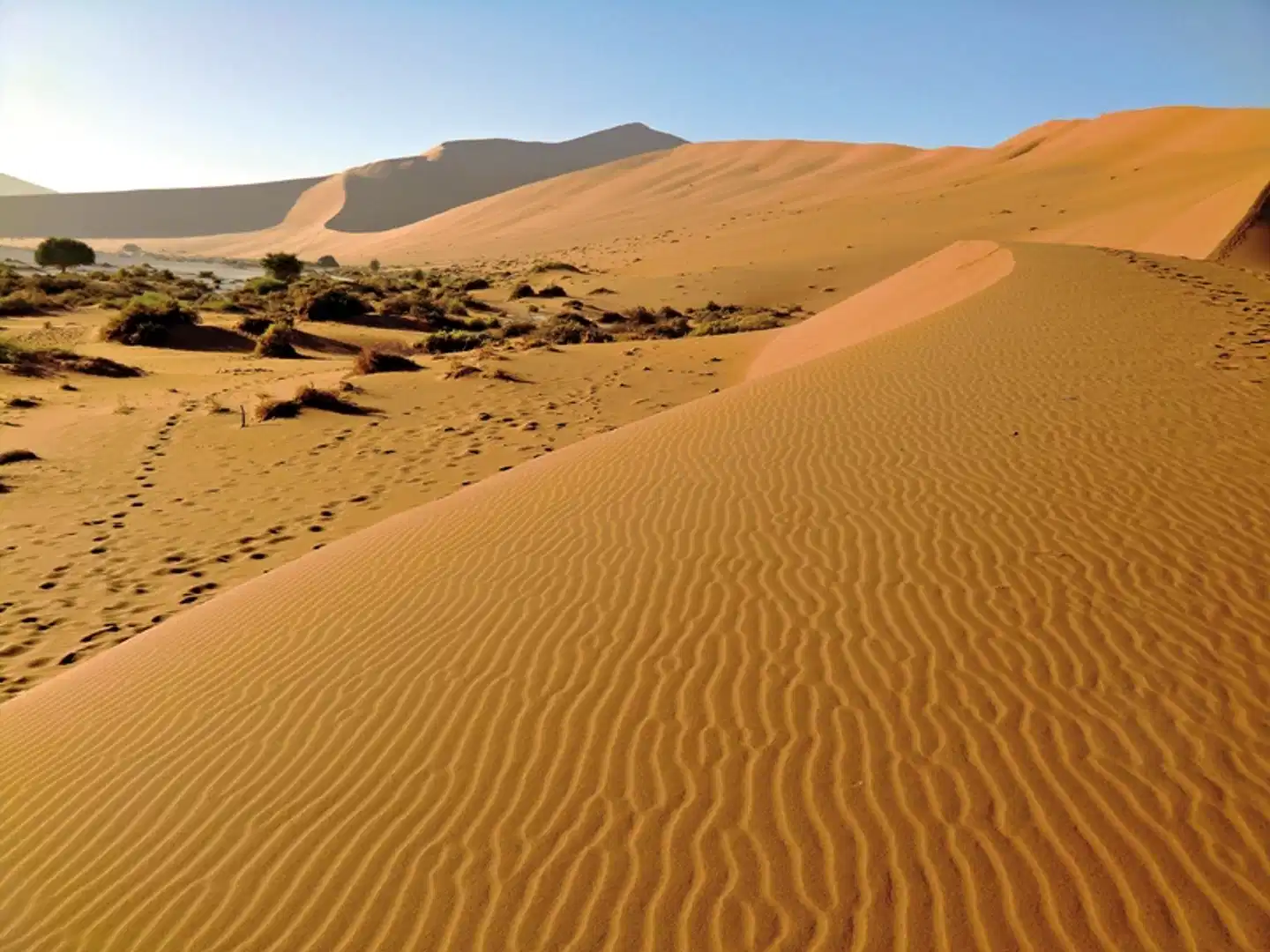 Namibia Classic Standard Landschaft