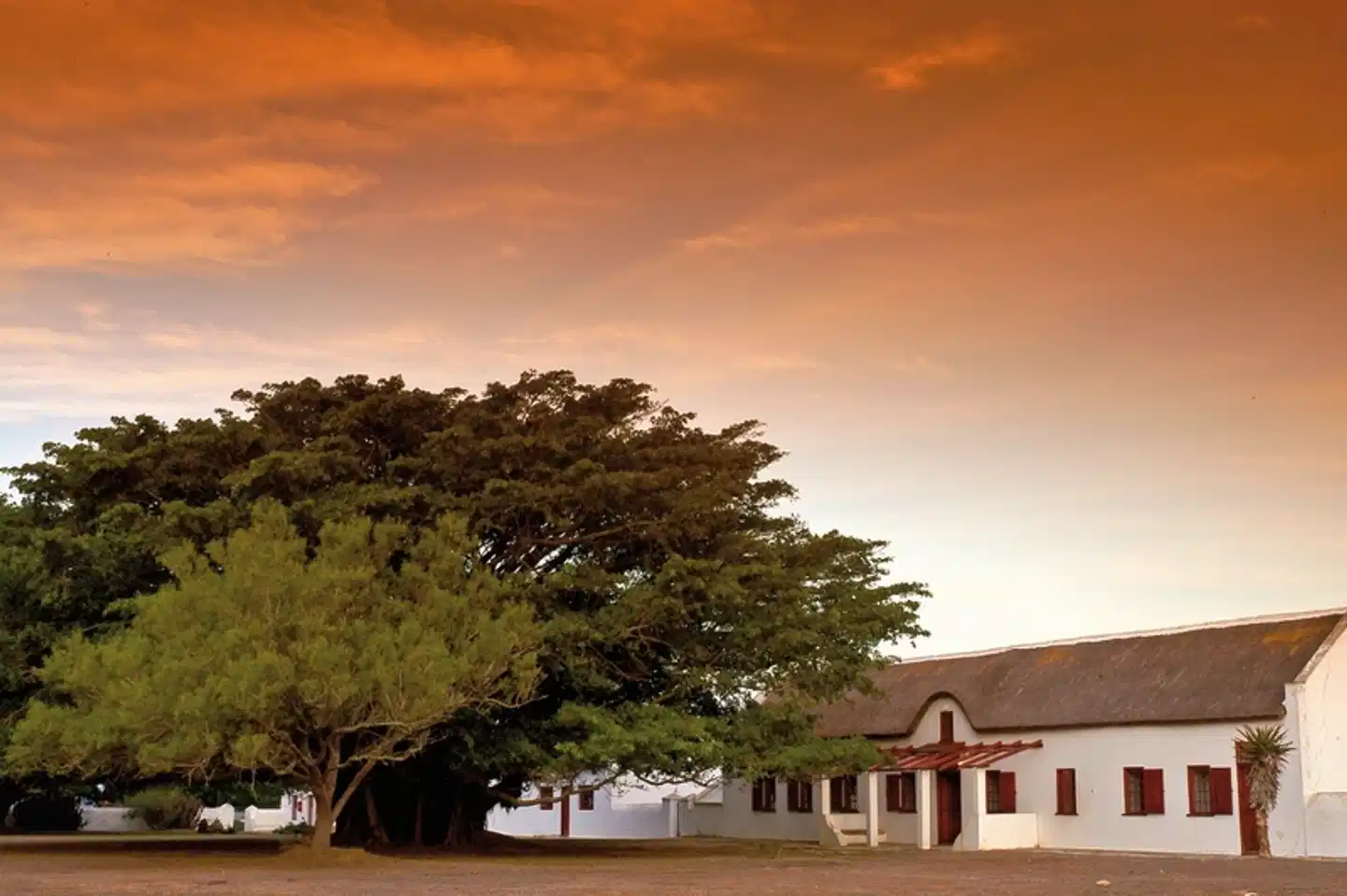 Go4South Africa - Erlebnisreise für die ganze Familie Aussenansicht