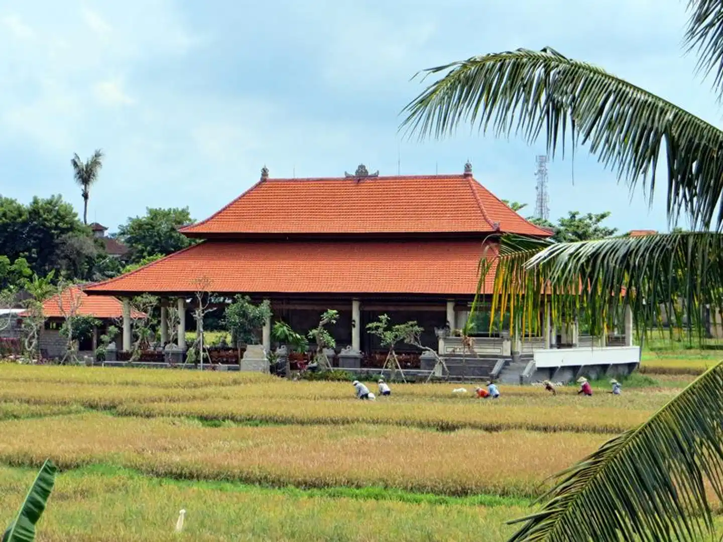 Alaya Ubud Aussenansicht