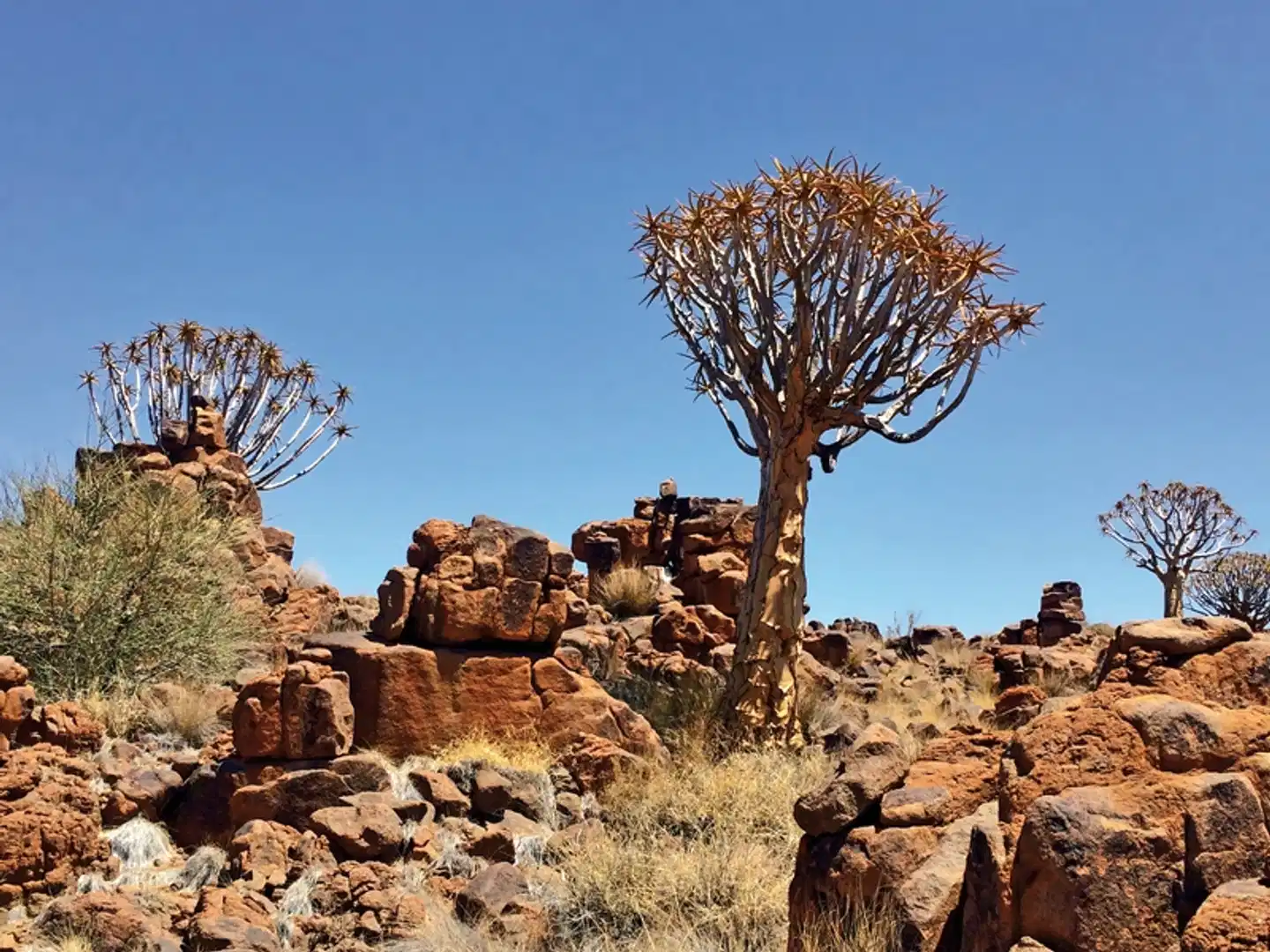 Traumreise Namibia Landschaft