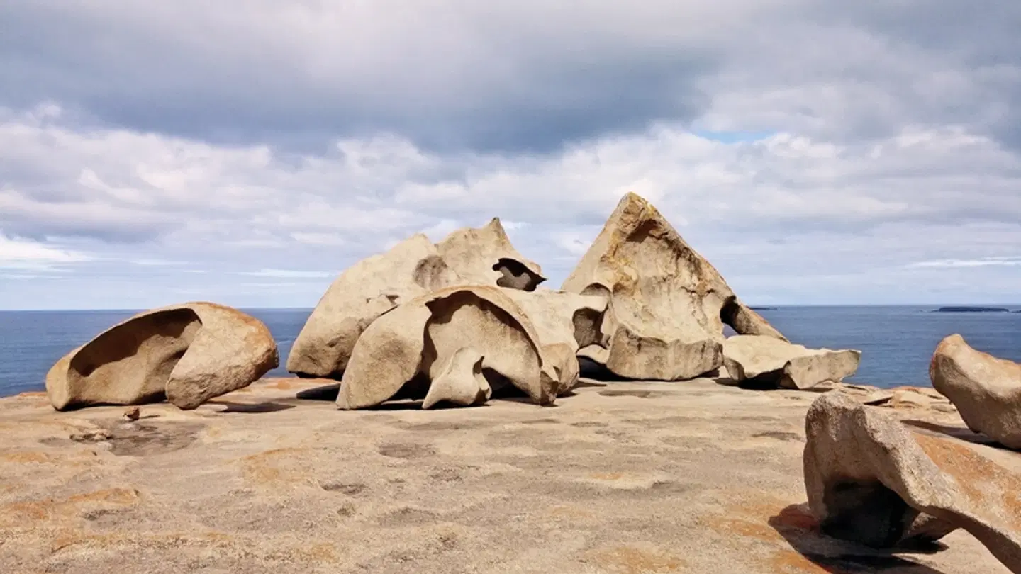 Faszinierendes Australien Tiere