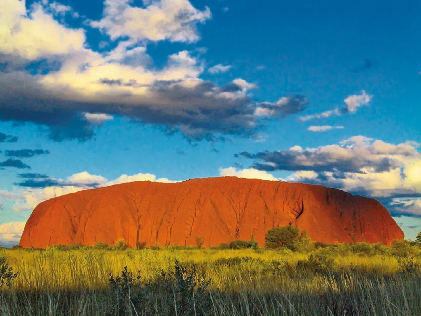 Kontraste Australiens und Neuseelands LANDSCAPE