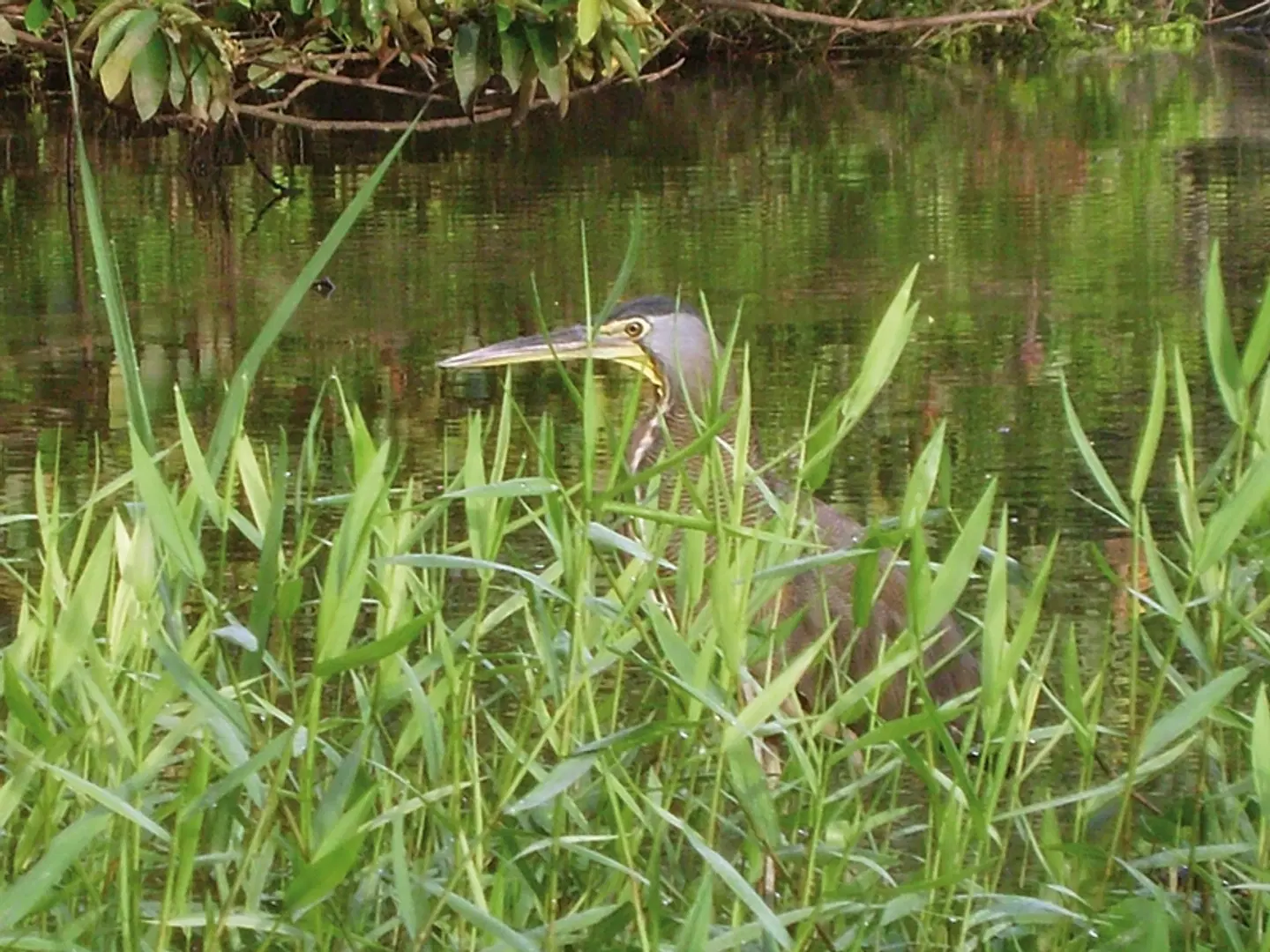 Karibik- und Dschungeltour LANDSCAPE