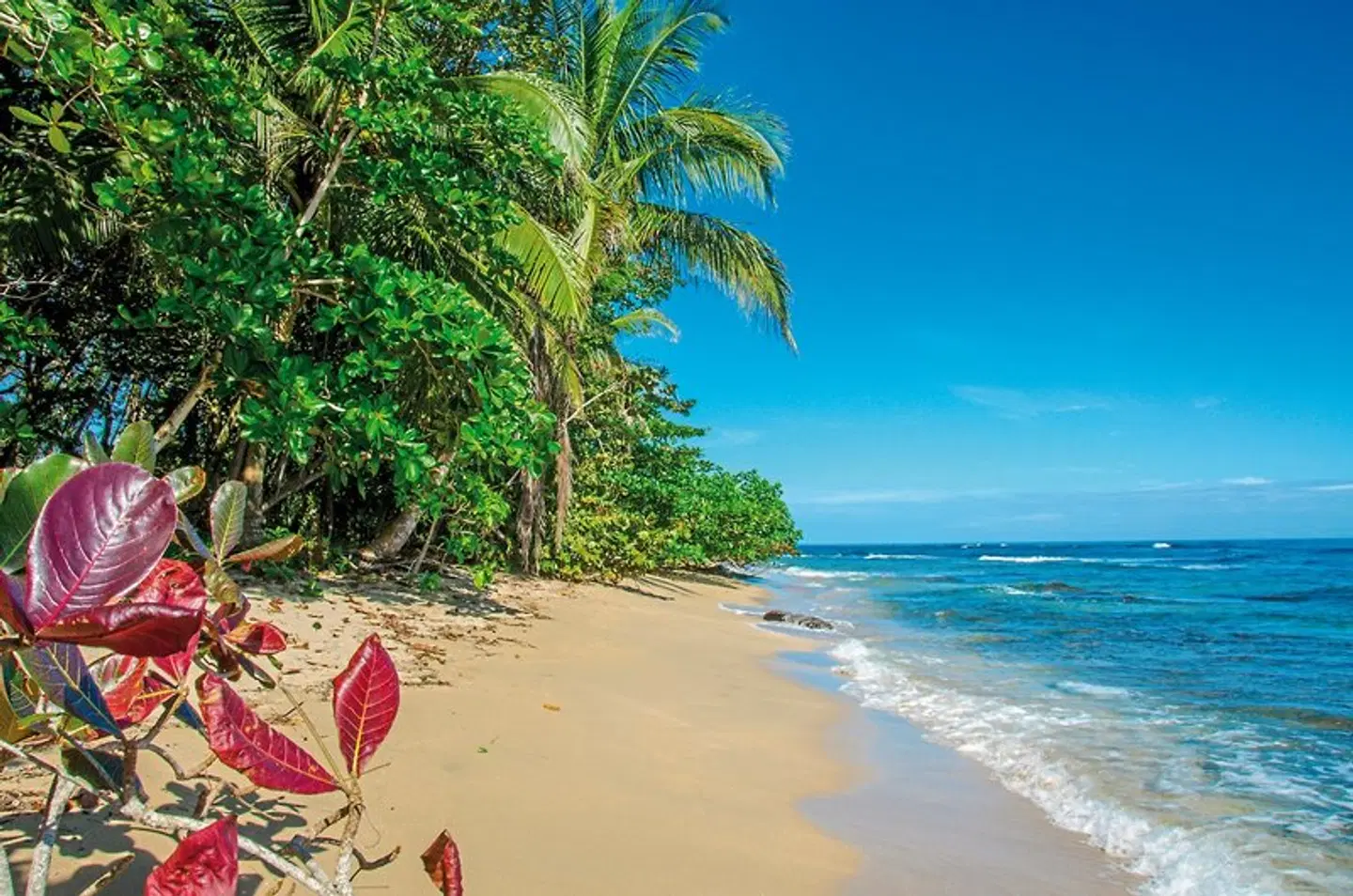 Abenteuer zwischen Vulkan und Regenwald Strand