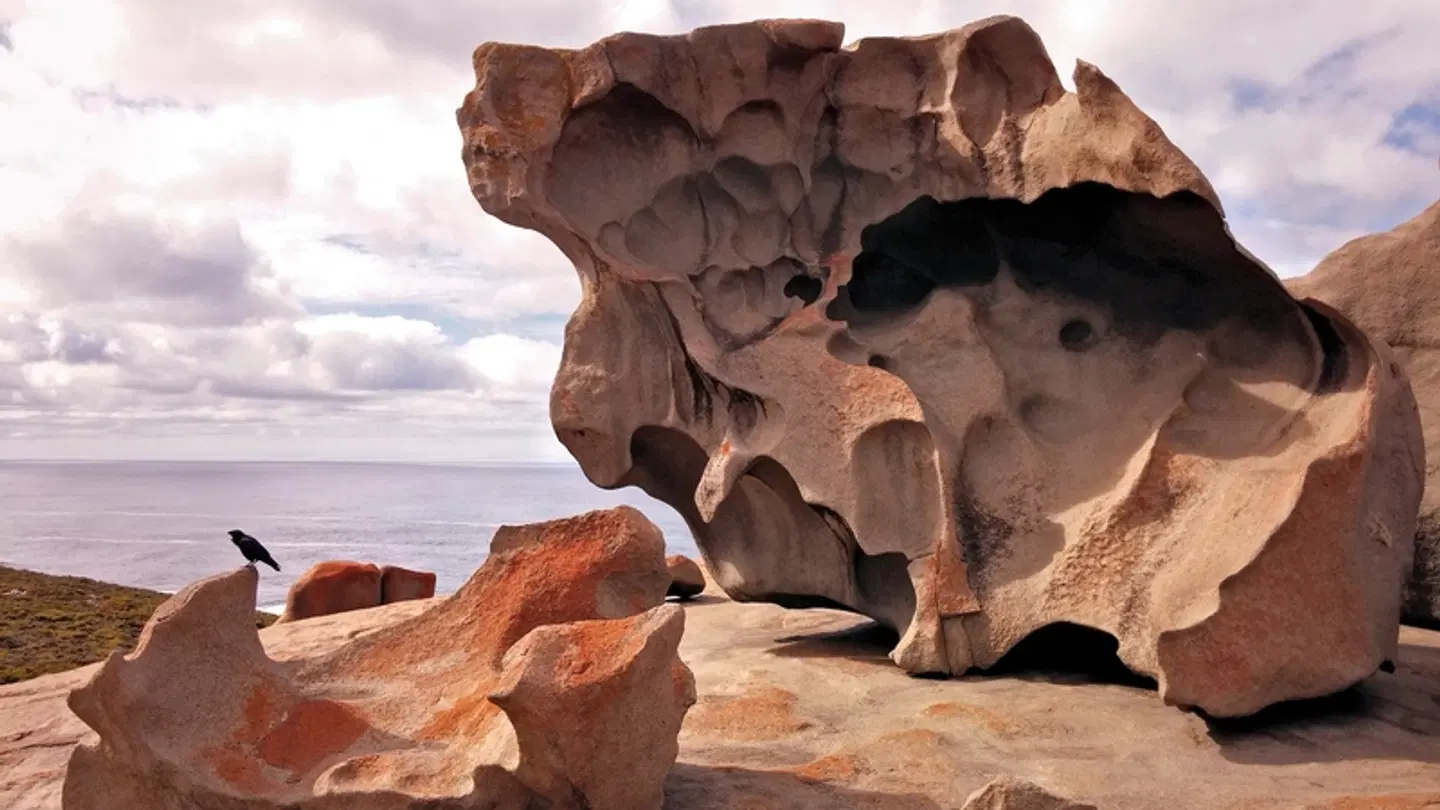 Great Ocean Road & Beyond Tiere