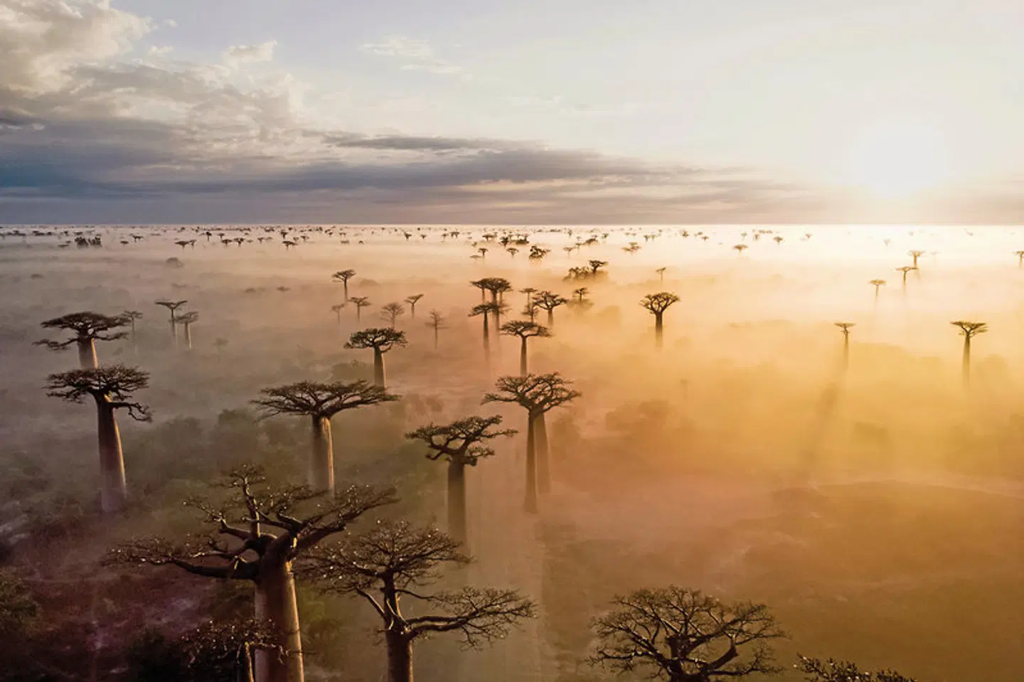 Höhepunkte Madagaskars LANDSCAPE