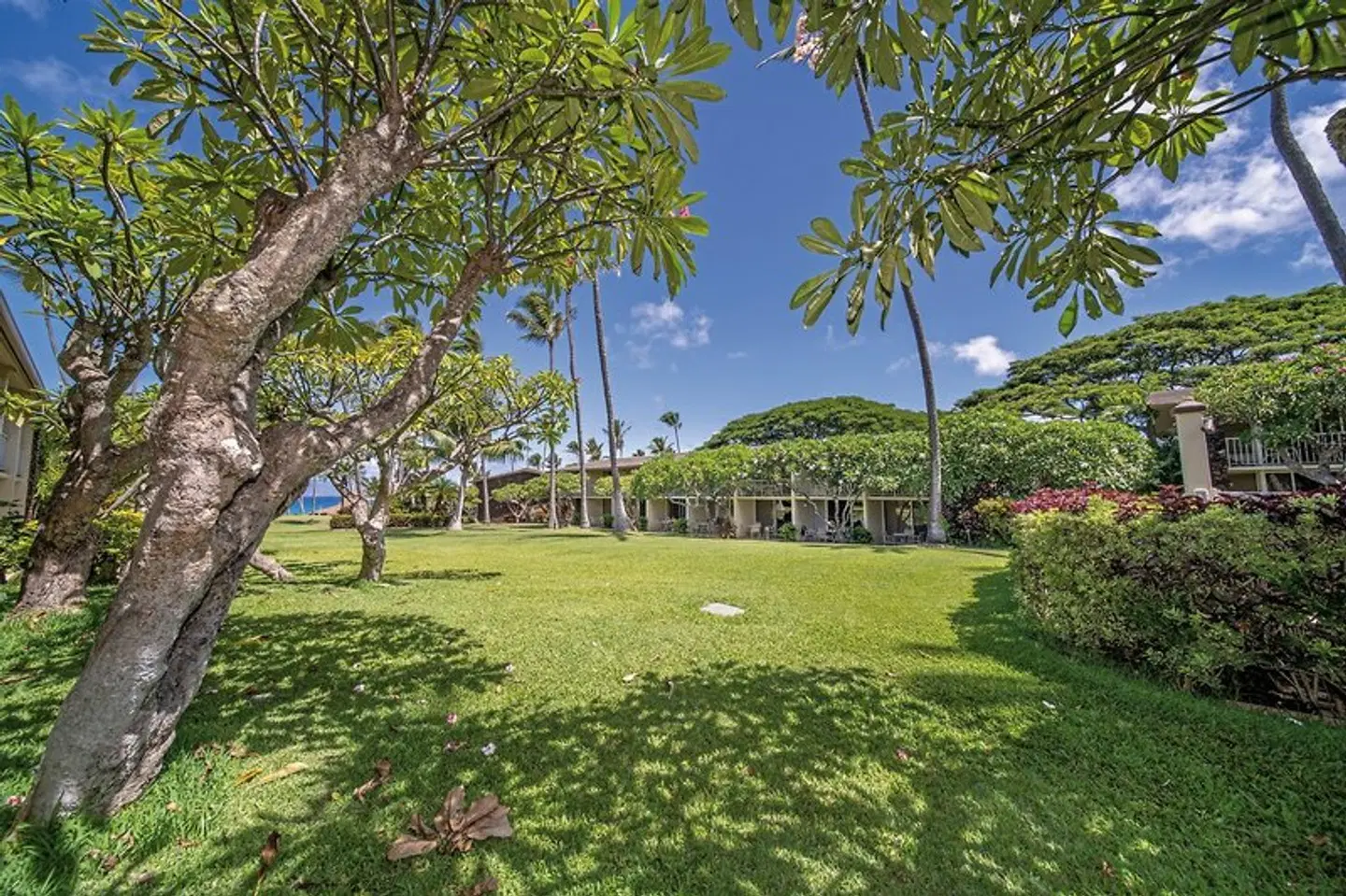Napili Shores Maui by Outrigger Garten