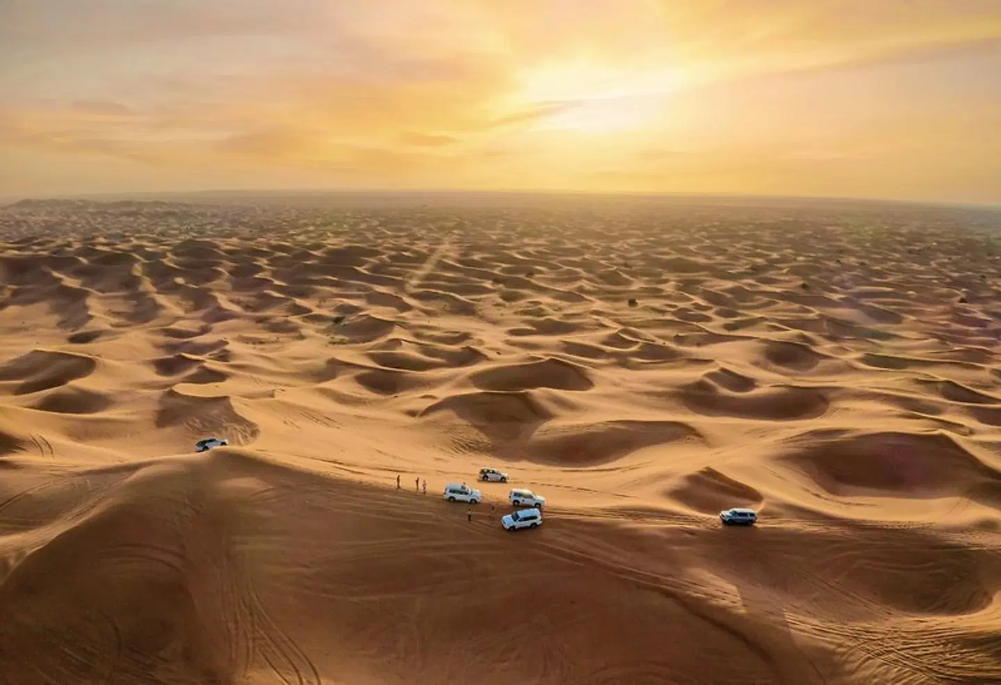 Erlebnisreiches Dubai LANDSCAPE