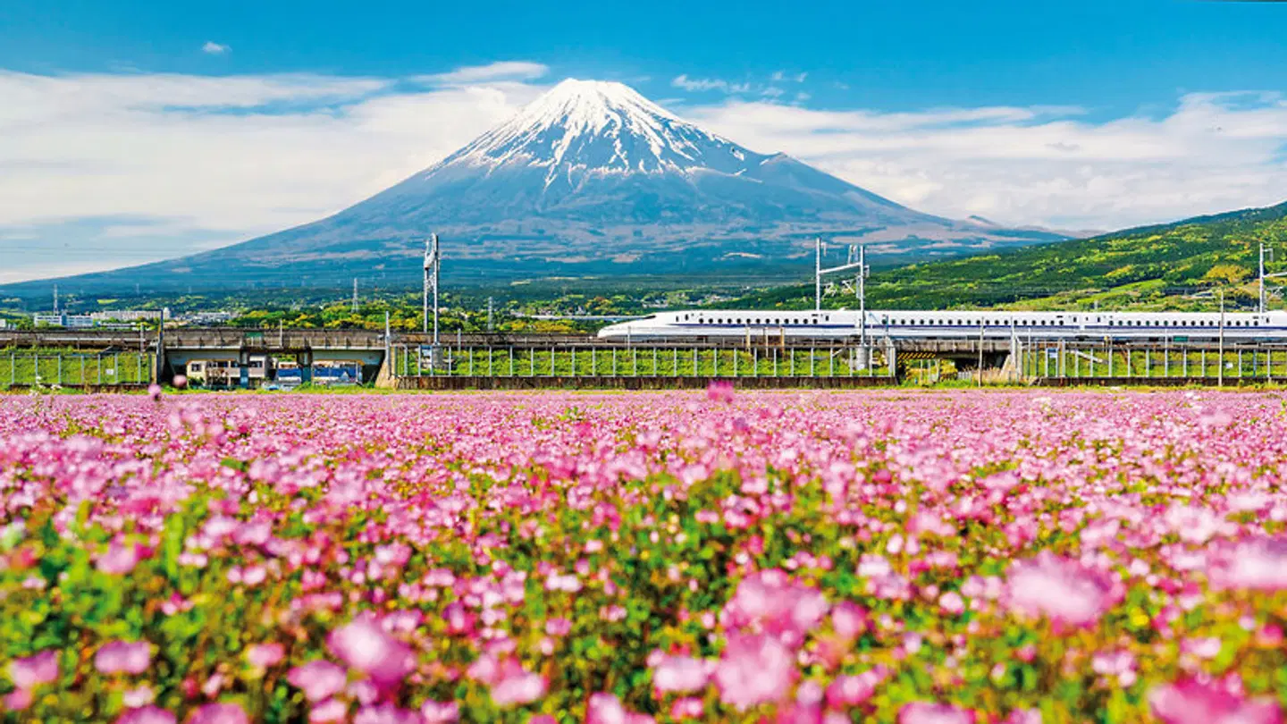 Japan zur Weltausstellung (nur Landprogramm) LANDSCAPE