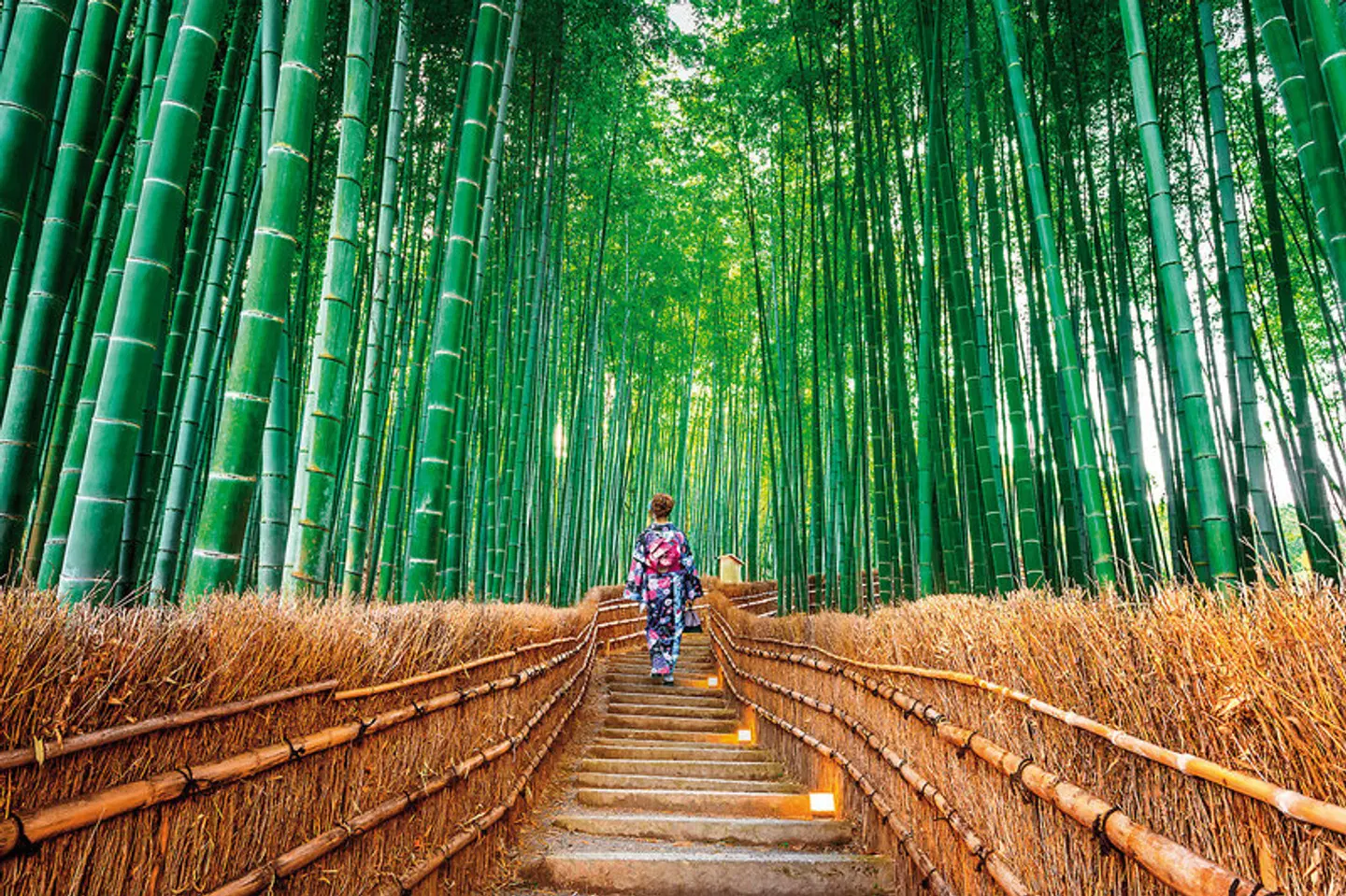 Japan für Individualisten (inkl. Flug) LANDSCAPE