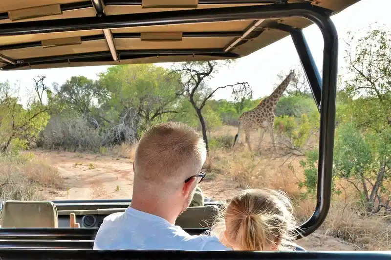 Safari Plains – Hotelfoto