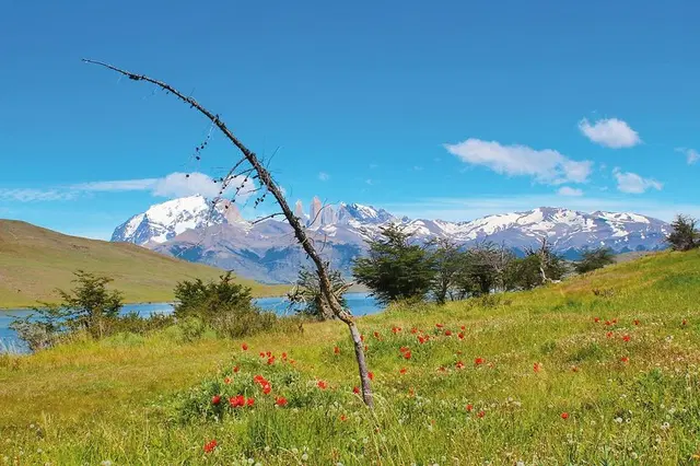 Torres del Paine - wilde Schönheit (Privatreise,  deutschsprachig) LANDSCAPE