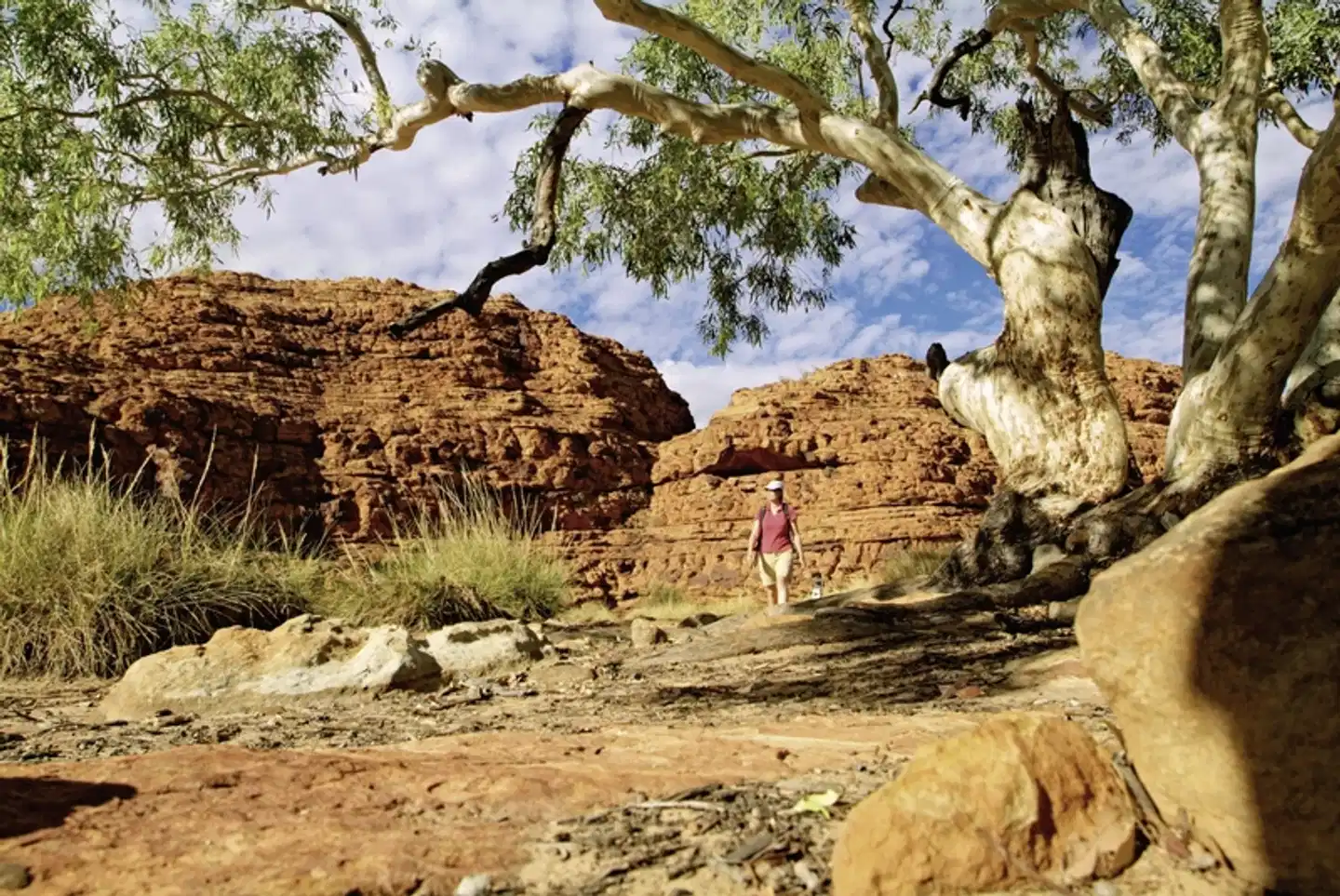 Australiens Glanzpunkte kompakt Landschaft