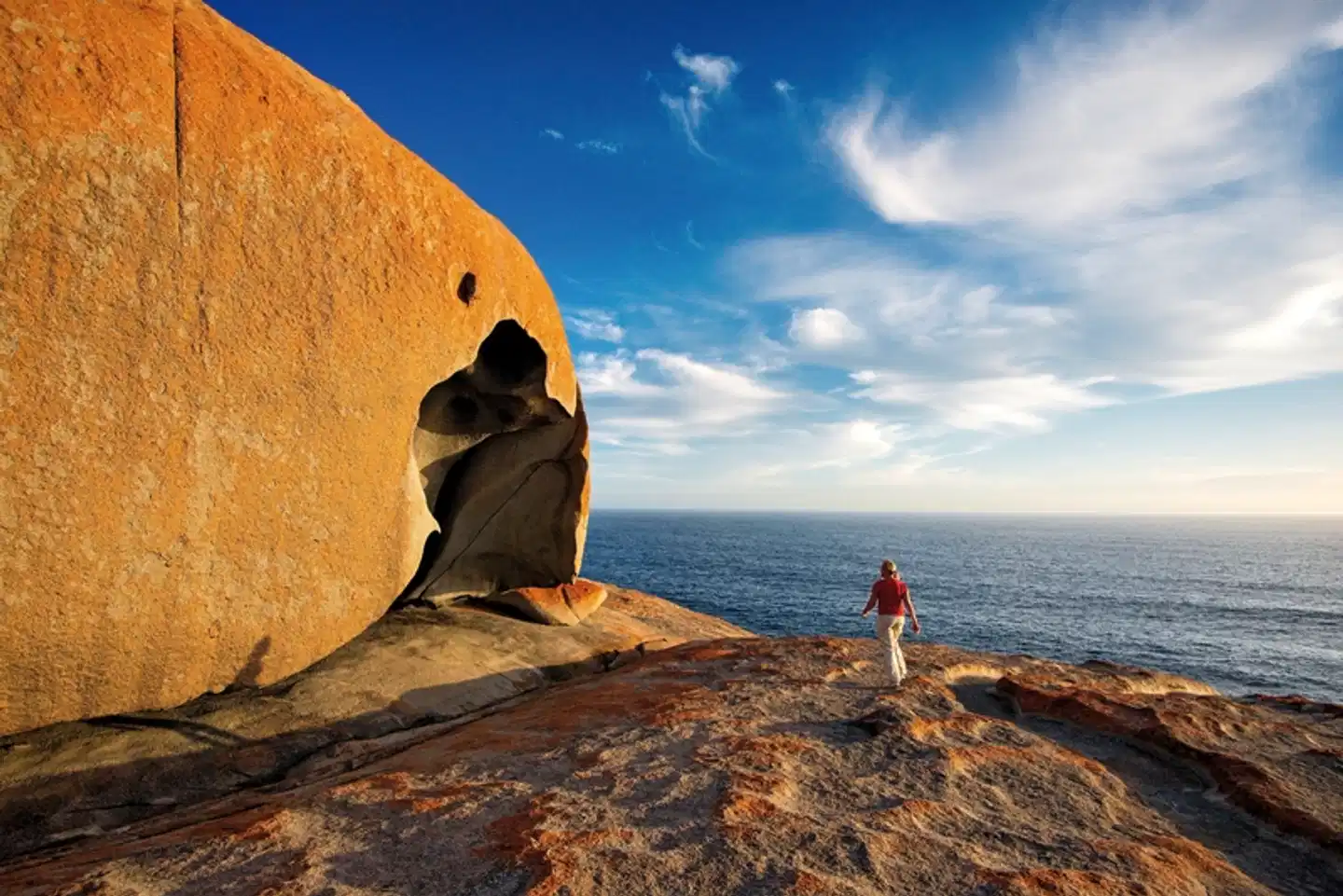 Naturwunder Kangaroo Island Tiere